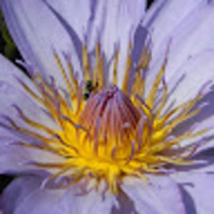 Meet your Posher, Yuliya